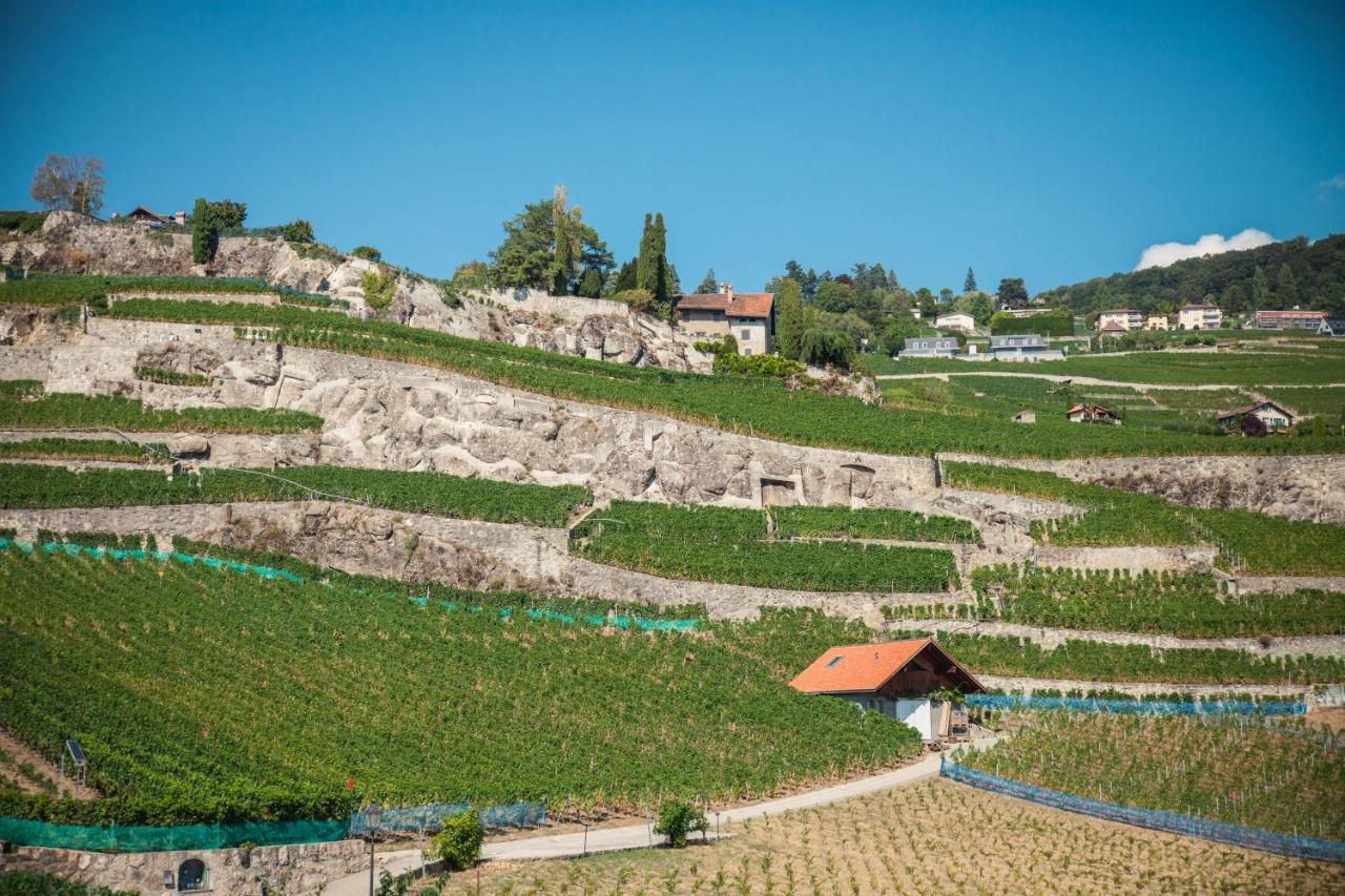 Auberge De Rivaz Экстерьер фото